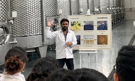 Learn About Chandon Vineyard’s Branding Excellence